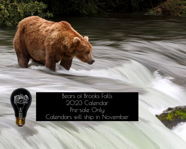 Bears of Brooks Falls 2023 calendar